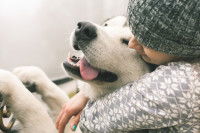 Une femme enlace un Malamute
