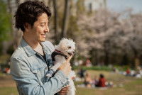 Un homme portant son chien dans ses bras pendant un hanami