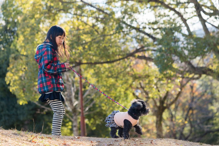Une petite fille promenant son Caniche dans un parc