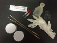 L’insémination de semence fraîche