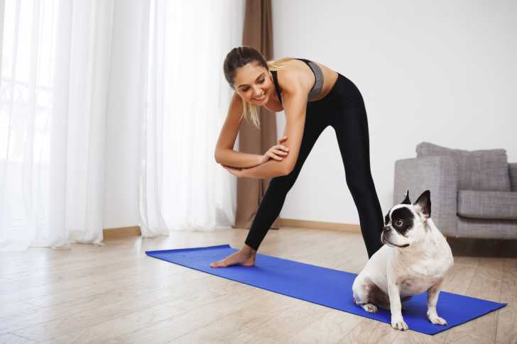 le doga ou yoga pour chiens une maniere originale de renforcer les liens avec son chien