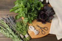 Différents bouquets d'herbes aromatiques