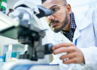 Un vétérinaire examine un prélèvement au microscope