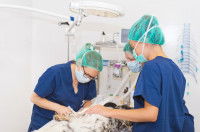 Les dépenses prises en charge par les formules plus complètes