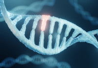 Une mutation génétique sur un gène