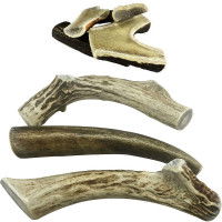 Différentes formes de bois de cerf