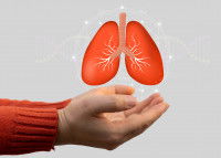 Schéma de poumons avec les bronches