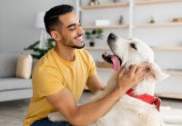 Un homme joue et fait un câlin à son chien dans le salon