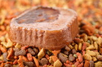 De la pâtée posée sur un tas de croquettes