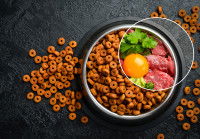 Des croquettes pour chien contenant des protéines
