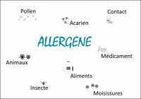 Schéma montrant les différents allergènes existants
