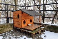 Une niche surélevée sur une terrasse en hiver