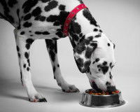 Un déséquilibre alimentaire