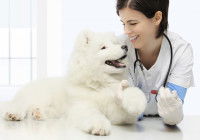 Une prise de sang peut contribuer au diagnostic