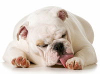 Les troubles du comportement