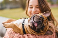 Une femme tient un petit chien Bouledogue dans ses bras