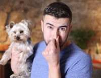 Un homme se pince le nez car son chien sent mauvais