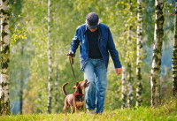 Un homme promène son chien en laisse dans une forêt