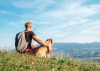 Un homme et son chien contemplent un beau paysage d'été