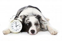 La dépression chronique