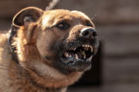 La dépression d’involution