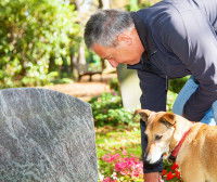 La dépression réactionnelle