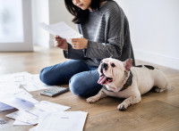 Chien et femme assis devant des factures