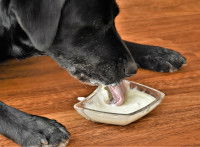 Des aliments peu digestes