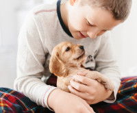 Prévenir la dysplasie de la hanche chez le chien