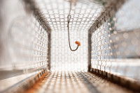 Un piège mécanique pour attraper des souris