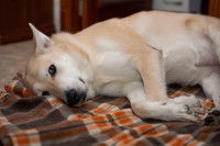 Les effets secondaires possibles