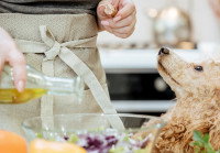 Un chien regarde une femme verser de lui dans un bol