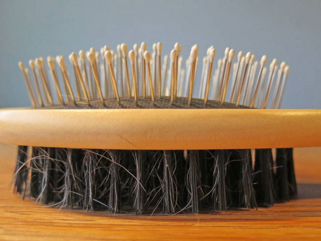 Une brosse pour chiens avec deux types de poil