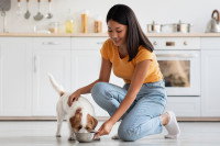 Une femme donnant à manger à son chien