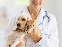 Vétérinaire homéopathe portant un chien et un chat