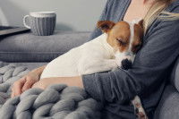 Une femme tient son Jack Russel dans ses bras pour le réchauffer