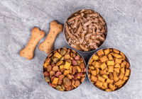 Des aliments pour chien contenant du gluten