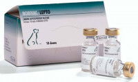 Boite de vaccins contre la leptospirose