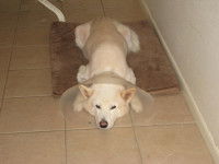 Les différents types de maladies de peau