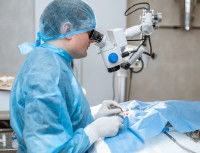 Le traitement de la sub-luxation du cristallin