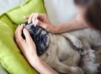 Prévenir la luxation secondaire