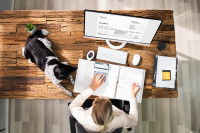 Une femme fait ses factures sur ordinateur à côté de son chien