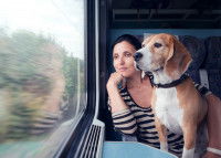 Une femme et son chien dans un train regardent par la fenêtre