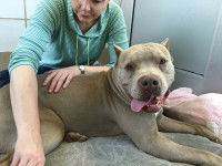 La différence entre un massage et une séance d'ostéopathie