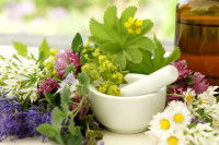 Des plantes pour fabriquer un remède naturel