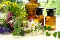 Des plantes et des huiles végétales utilisées en phytothérapie