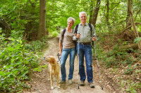 Un couple de promeneurs et leur chien dans une forêt