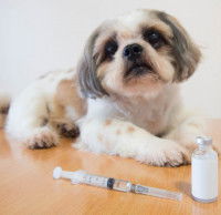 Le traitement et la prévention de la myélopathie dégénérative