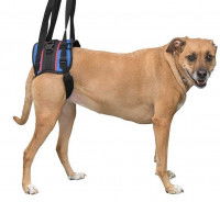 © Handicappedpets.com