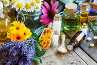 Des ingrédients utiles en naturopathie animale